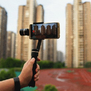 活泼、胆小、机警、好动的小精灵