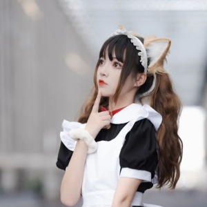 女仆猫猫：不能绑架如何可爱的猫咪