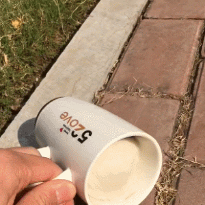 小仓鼠被倒出来，腿一着地就反弹，杯子立马变成家！