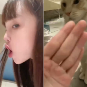 赵本山女儿豪宅内逗猫！趴地上搞怪把猫吓跑，身后一墙名牌鞋抢镜
