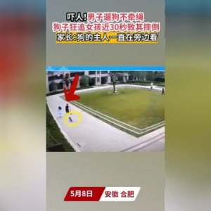 未栓绳小狗追小女孩，狗主人却淡定围观，狗不懂事，主人呢？