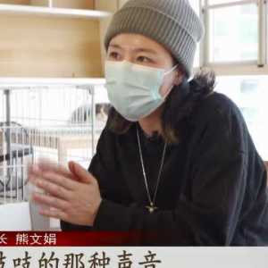 养新宠啦！土拨鼠憨厚呆萌惹人爱