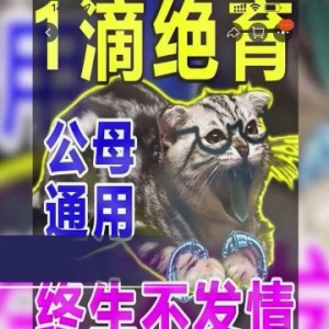 起底“一滴绝育”的宠物禁情药 给宠物做绝育手术有必要吗？