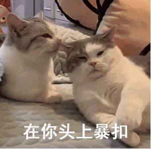 表情包｜你不得了哦