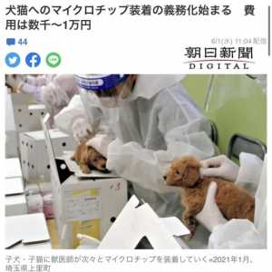 科幻电影已走进现实，日本修订“新动物法”，出售宠物需植入芯片
