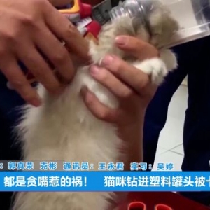 原谅我不厚道地笑了……你被卡住的样子真的很可爱！