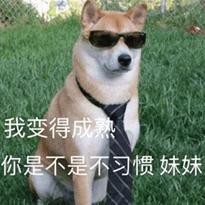 说好不可以成精的：这是我见过的最会享受的狗！