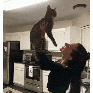 女主人抱猫被狗子撞见，结果它的反应，笑喷了！