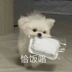 沙雕表情｜在家一天吃五顿
