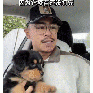 你有没有为狗狗做过很疯狂的事？网友：给它买了个房算不算……