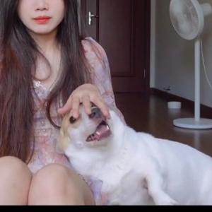 狗狗的傻眼＋戏精时刻：请务必救活我的玩具！