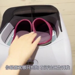 云游狗狗咖啡馆，超多狗狗求撸，场面宏大，瞬间就被治愈到啦！