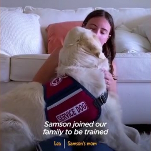 社恐狗狗面对狗和人类十分尴尬，却是个猫控？