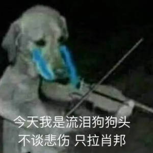 狗子崩溃：“帮主人带2年的娃，我虚了…”