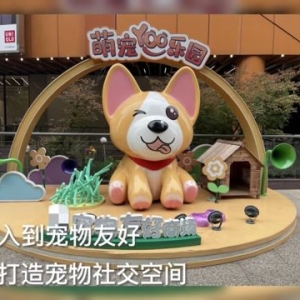 从禁止入内到宠物友好，南京多地打造宠物社交空间