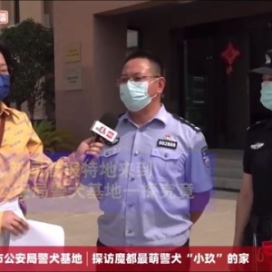 “软萌可爱”的小码缉毒犬“小玖”火爆出圈背后，3个月大就严格考核