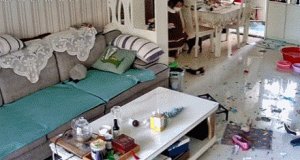 女子被隔离留2只狗单独在家，再回来时语塞了：什么个情况呀？