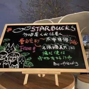 巨头跨界入局中高端宠物市场，宠物友好成“流量密码”？